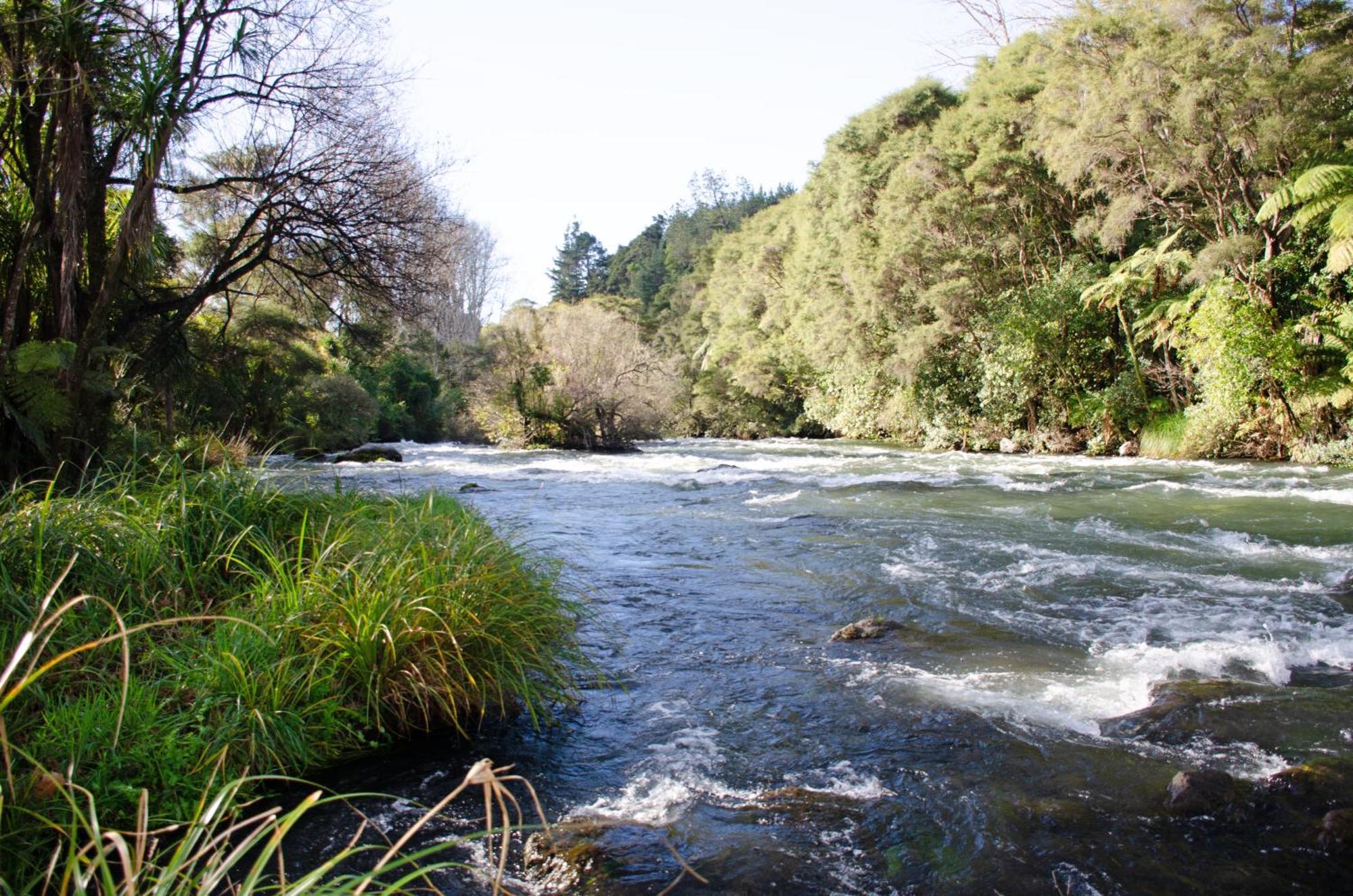 Tarawera River Lodge Motel Kawerau Zewnętrze zdjęcie