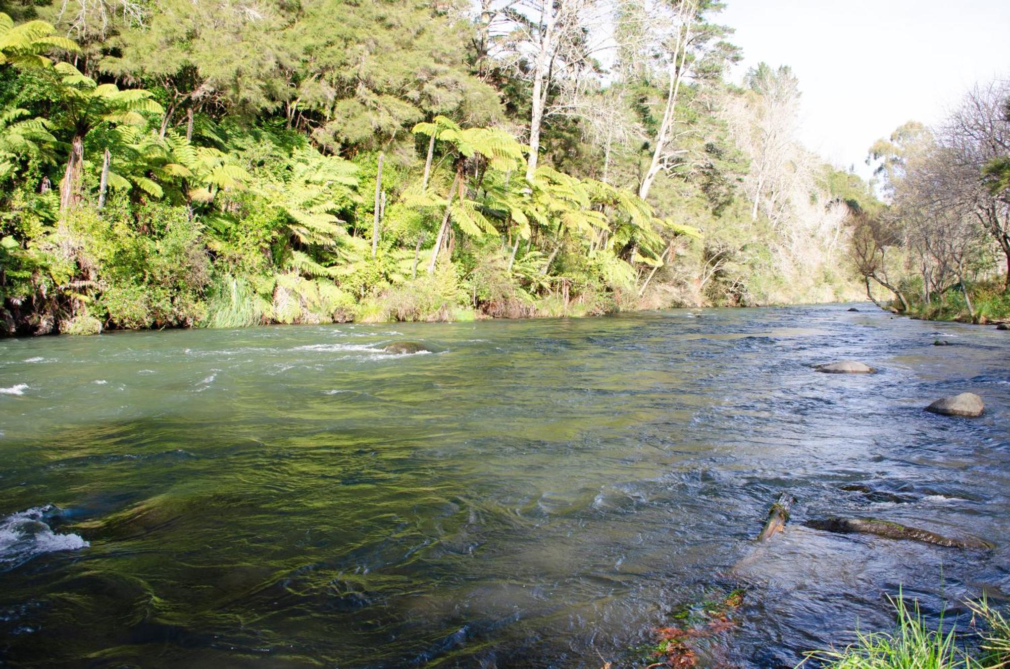 Tarawera River Lodge Motel Kawerau Zewnętrze zdjęcie